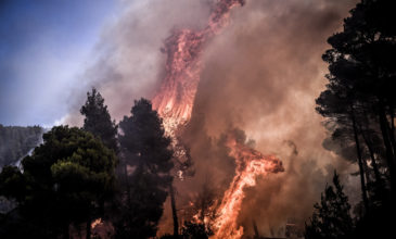 Πυρκαγιά σε δασική έκταση στην Εύβοια