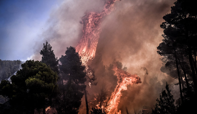 Πυρκαγιά σε δασική έκταση στην Αχαΐα