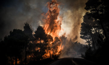 Πυρκαγιά σε δασική έκταση στο Πεταλίδι Μεσσηνίας