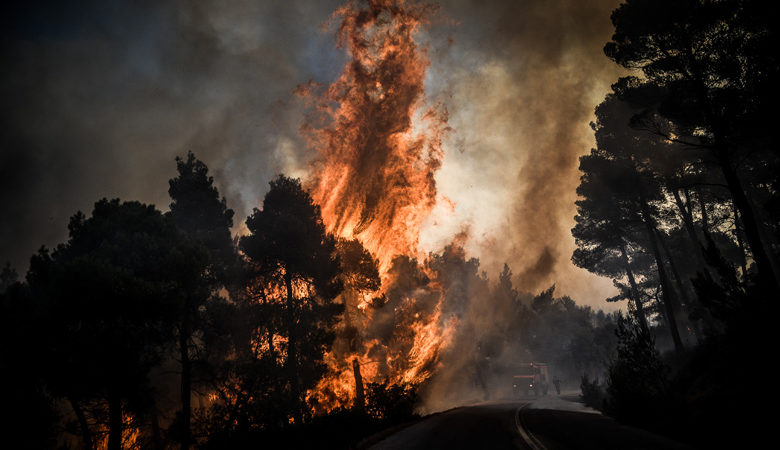 Πυρκαγιά σε δασική έκταση στο Πεταλίδι Μεσσηνίας