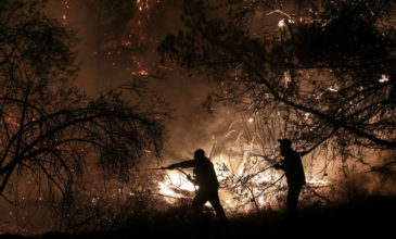 Ολονύχτια μάχη με τις φλόγες στην Εύβοια, σώθηκαν τα τέσσερα χωριά