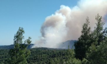 Πυρκαγιά σε δύσβατη περιοχή στα Καλάβρυτα
