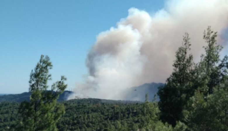 Πυρκαγιά σε δύσβατη περιοχή στα Καλάβρυτα