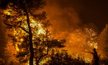 Βίντεο – ντοκουμέντο από τα πρώτα λεπτά της φωτιάς που έκαψε την Εύβοια