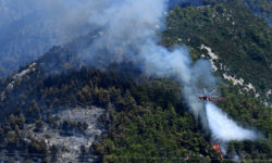 Σε εξέλιξη πυρκαγιά στο Κοντοδεσπότι Ευβοίας – Μήνυμα για εκκένωση του οικισμού