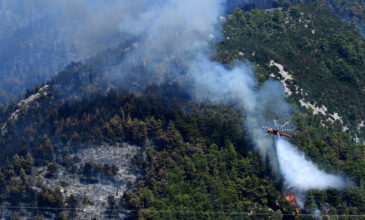 Μαίνεται η πυρκαγιά σε δασική έκταση στο Άγιον Όρος