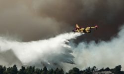 Γαλλία: Η Ελλάδα στέλνει δύο Canadair για να συνδράμουν στην κατάσβεση των δασικών πυρκαγιών