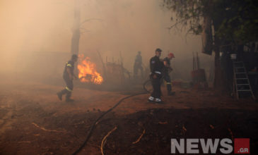 Αναζωπύρωση εστιών στο Μακρυμάλλη, μάχη των πυροσβεστών να σωθεί ποιμνιοστάσιο