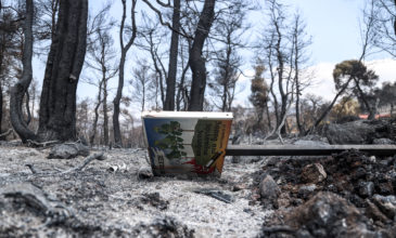 Σχεδόν 23.000 στρέμματα κάηκαν στην Εύβοια μέσα σε δυο μέρες