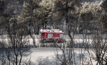 Φωτιά στην Εύβοια: Οριοθετημένη αλλά επικίνδυνη