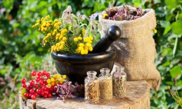 Αξιοποιούν τα αρωματικά και φαρμακευτικά φυτά του όρους Κόζιακα