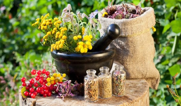 Αξιοποιούν τα αρωματικά και φαρμακευτικά φυτά του όρους Κόζιακα