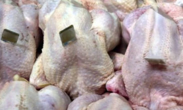 Κατασχέθηκαν 67 κιλά ακατάλληλα κοτόπουλα