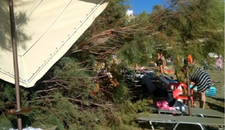 Έπεσε δένδρο πάνω της ενώ έκανε ηλιοθεραπεία σε παραλία της Σύρου