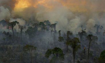 Τεράστιες πυρκαγιές κατακαίνε τα δάση και το οικοσύστημα του Αμαζονίου