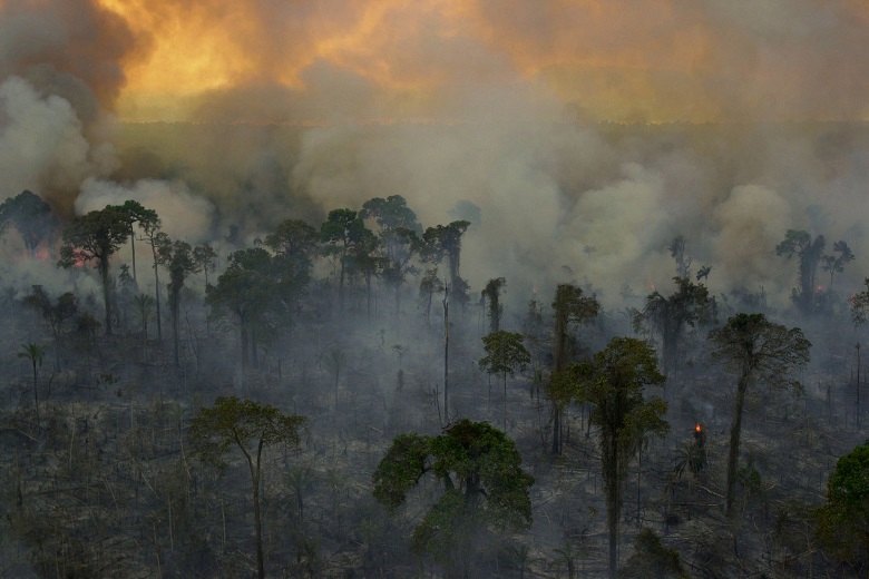 ÎÏοÏÎλεÏμα εικÏÎ½Î±Ï Î³Î¹Î± βÏαζιλια ÏÏ
ÏÎºÎ±Î³Î¹ÎµÏ 2019