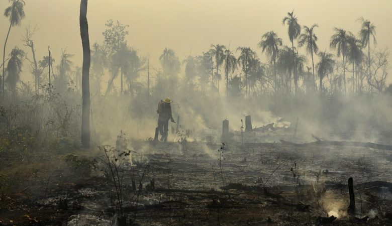 Πυρκαγιές στον Αμαζόνιο: Αυτή είναι βασική αιτία των πυρκαγιών