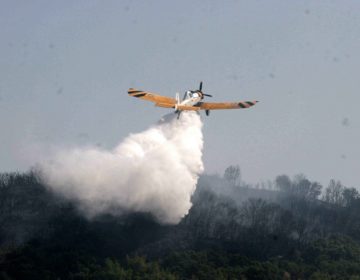 Φωτιά στην Υλίκη Θηβών