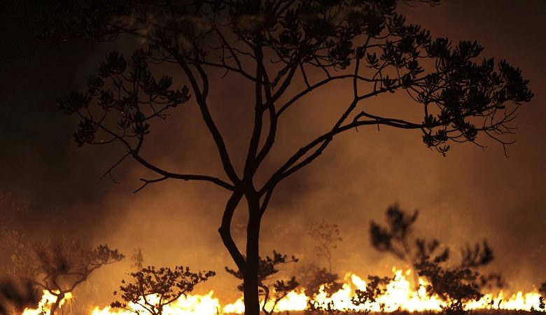 Στέλνει το στρατό ο Μπολσονάρου για να ελέγξει τις πυρκαγιές στον Αμαζόνιο