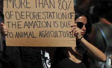 Διαδηλώσεις σε όλον τον κόσμο για τη σωτηρία του Αμαζονίου