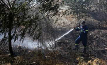 Πυρκαγιά σε χορτολιβαδική έκταση στο Γύθειο Λακωνίας
