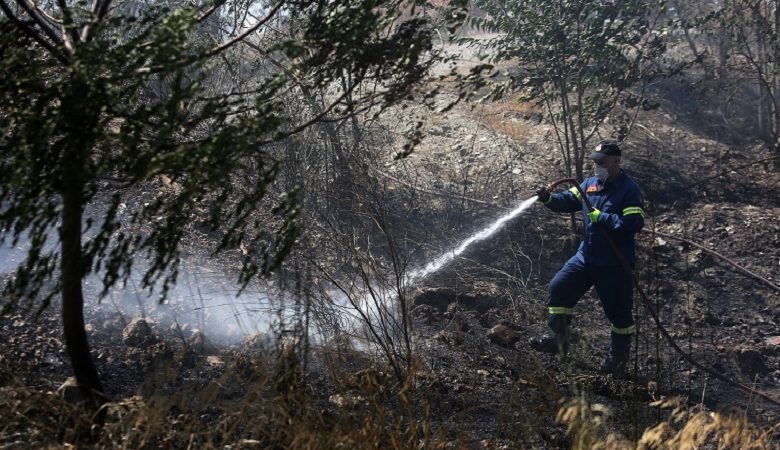 Πυρκαγιά σε χορτολιβαδική έκταση στο Γύθειο Λακωνίας