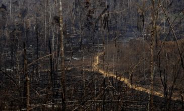 Μαίνονται οι πυρκαγιές στον Αμαζόνιο παρά την κινητοποίηση του στρατού
