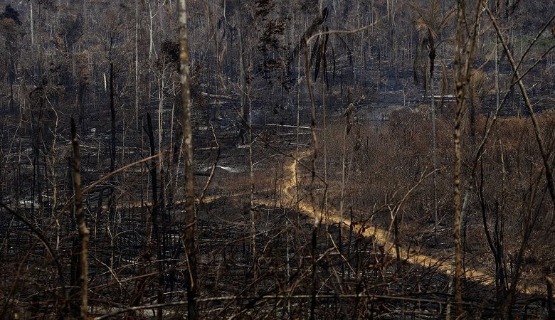 Μαίνονται οι πυρκαγιές στον Αμαζόνιο παρά την κινητοποίηση του στρατού