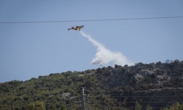 Τις 53 έφτασαν οι δασικές πυρκαγιές που ξέσπασαν την Τρίτη σε όλη τη χώρα