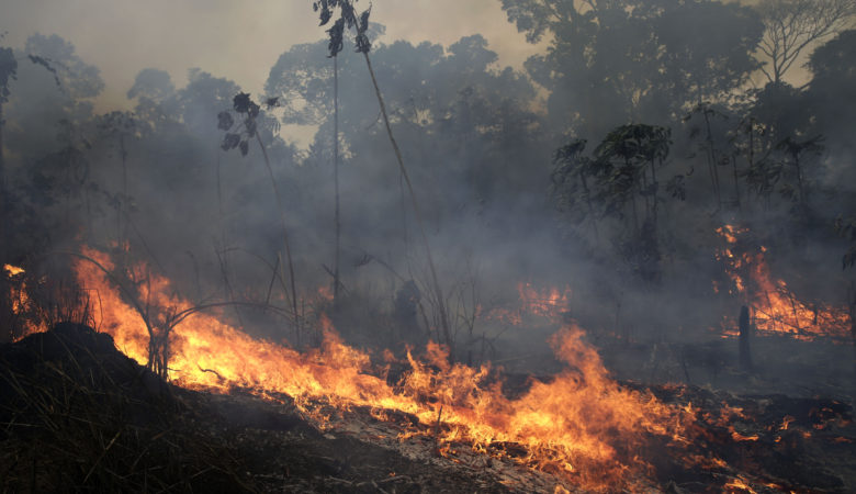Πυρκαγιές στον Αμαζόνιο: Οι φλόγες συνεχίζουν το καταστροφικό τους έργο