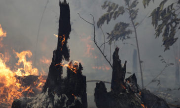 Πυρκαγιές Αμαζόνιος: Ποιος είναι ο νέος κίνδυνος που απειλεί την ανθρωπότητα
