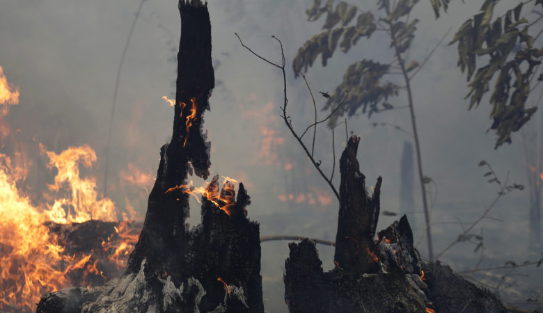 Πυρκαγιές Αμαζόνιος: Ποιος είναι ο νέος κίνδυνος που απειλεί την ανθρωπότητα