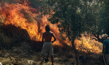 Ζάκυνθος: Μεγάλη φωτιά στο Αργάσι