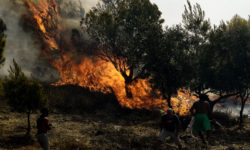 Νεκρός 57χρονος στην πυρκαγιά στην Ανδρίτσαινα