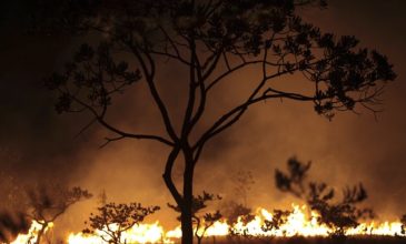 Βραζιλία: Χώρες της Λατινικής Αμερικής θα συναντηθούν για την Αμαζονία