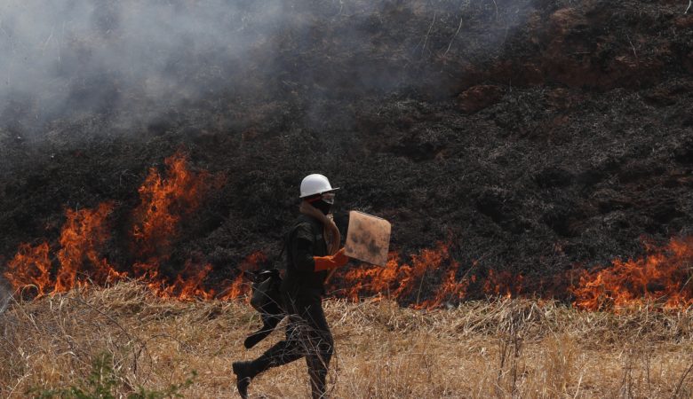 Πυρκαγιές στον Αμαζόνιο: Ποιοι και πως επωφελούνται από την καταστροφή του δάσους στη Βραζιλία;