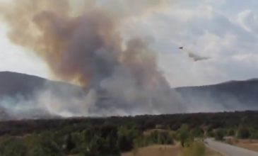 Μαίνεται η φωτιά σε δασική έκταση στην Κοζάνη