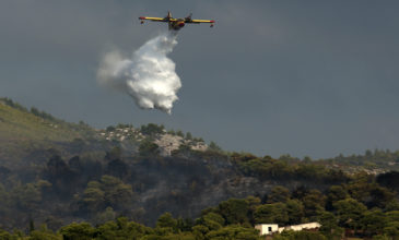 «Ακούω τα δέντρα να καίνε, να σκάνε τα κουκουνάρια και σκέφτομαι: τελείωσε, πεθάναμε»