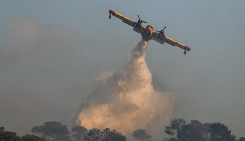 Φωτιά στη Νάξο: Επιχειρούν 14 πυροσβέστες με 6 οχήματα και δύο αεροσκάφη