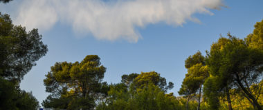 Φωτιά στη Βοιωτία – Σηκώθηκαν εναέρια μέσα