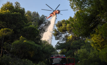 Πυρκαγιά σε χορτολιβαδική έκταση στην Εύβοια
