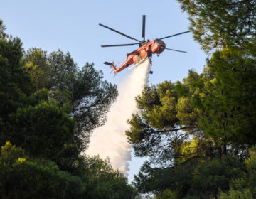 Φωτιά στο Δίλοφο Ηγουμενίτσας – Σηκώθηκε ελικόπτερο