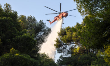 Πυρκαγιά σε αγροτοδασική περιοχή στο Κιλκίς