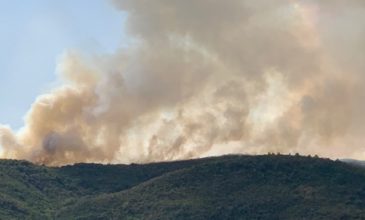Κεφαλονιά: Πέντε εστίες πυρκαγιάς μέσα σε λίγη ώρα σε Θήνια και Λαγκαδά
