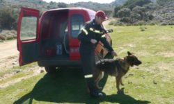 Νεκρός εντοπίστηκε ο 59χρονος κτηνοτρόφος που αγνοούνταν στα Μετέωρα