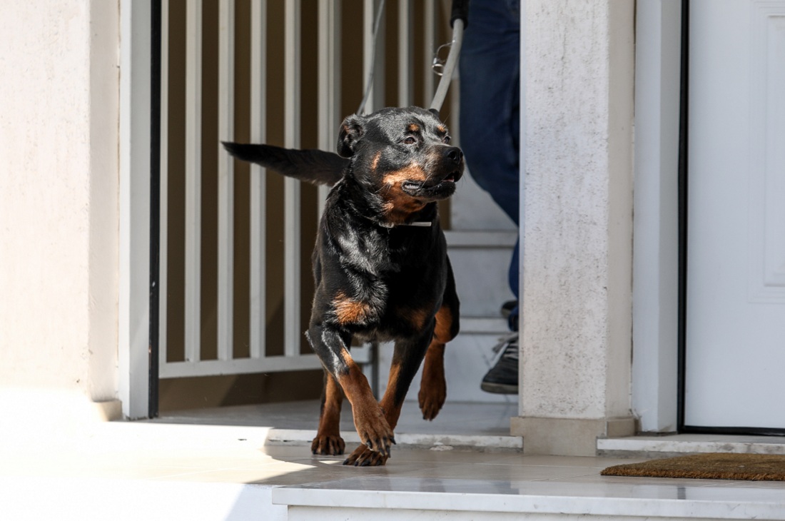 Τραγωδία στα Γλυκά Νερά: Η οικογένεια θέλει να πάρει πίσω το ροτβάιλερ