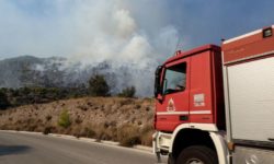 Υπό μερικό έλεγχο η πυρκαγιά σε αγροτική έκταση στο Νεοχωράκι Θήβας