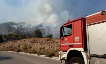 Χαλκιδική: Υπό έλεγχο πυρκαγιά σε αγροτοδασική έκταση στη Φούρκα