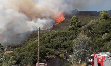 Μαίνεται η πυρκαγιά στη Ζάκυνθο – Έκκληση για ενισχύσεις