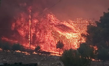 Ολονύχτια μάχη με τις φλόγες στη Ζάκυνθο – Σώθηκε το χωριό Κερί